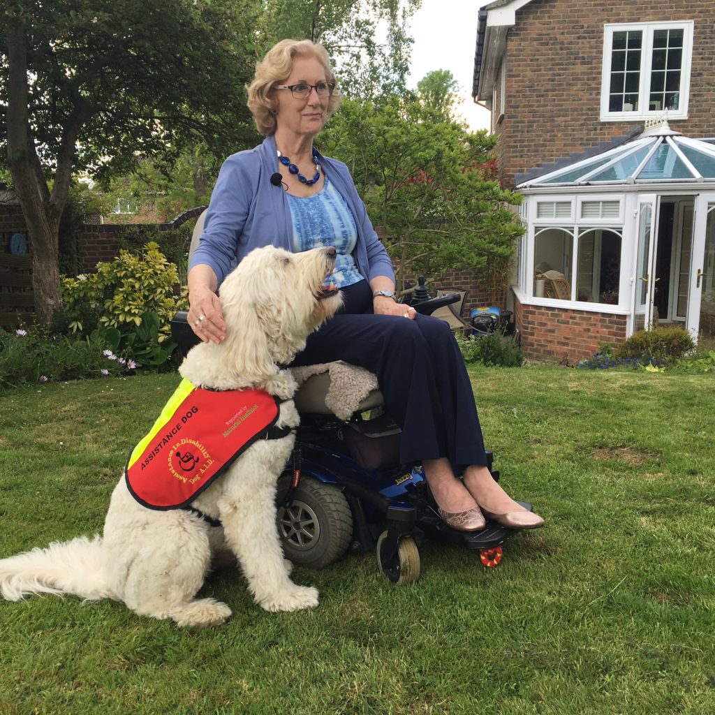 Assistance dogs