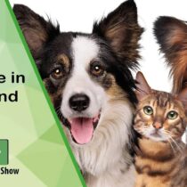 Fluid balance in Dogs and Cats,
