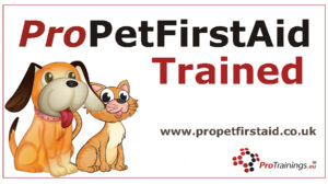 Pet first aid